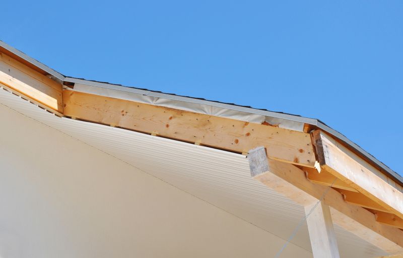 Fascia And Eaves Repair detail